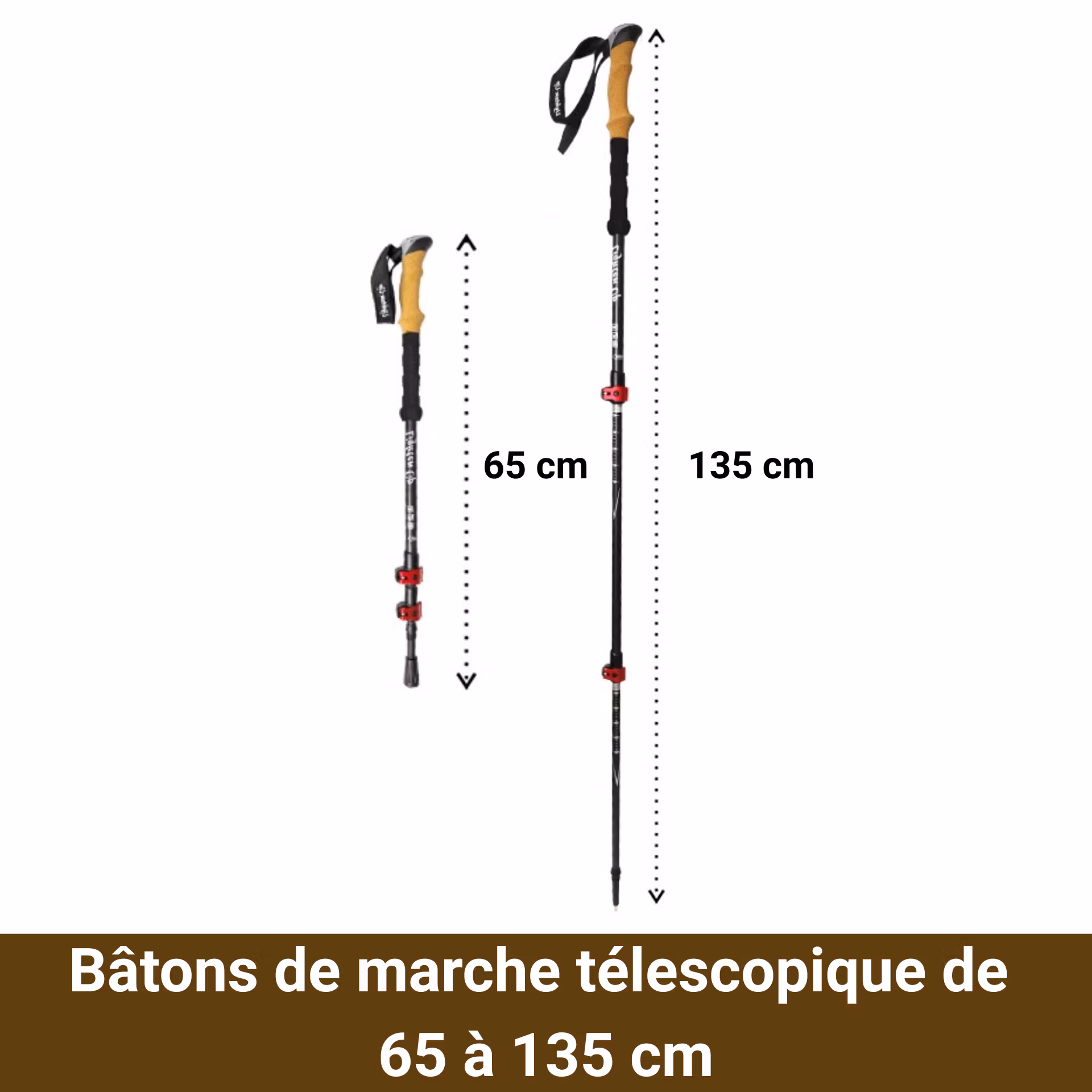bâtons de marche télescopique