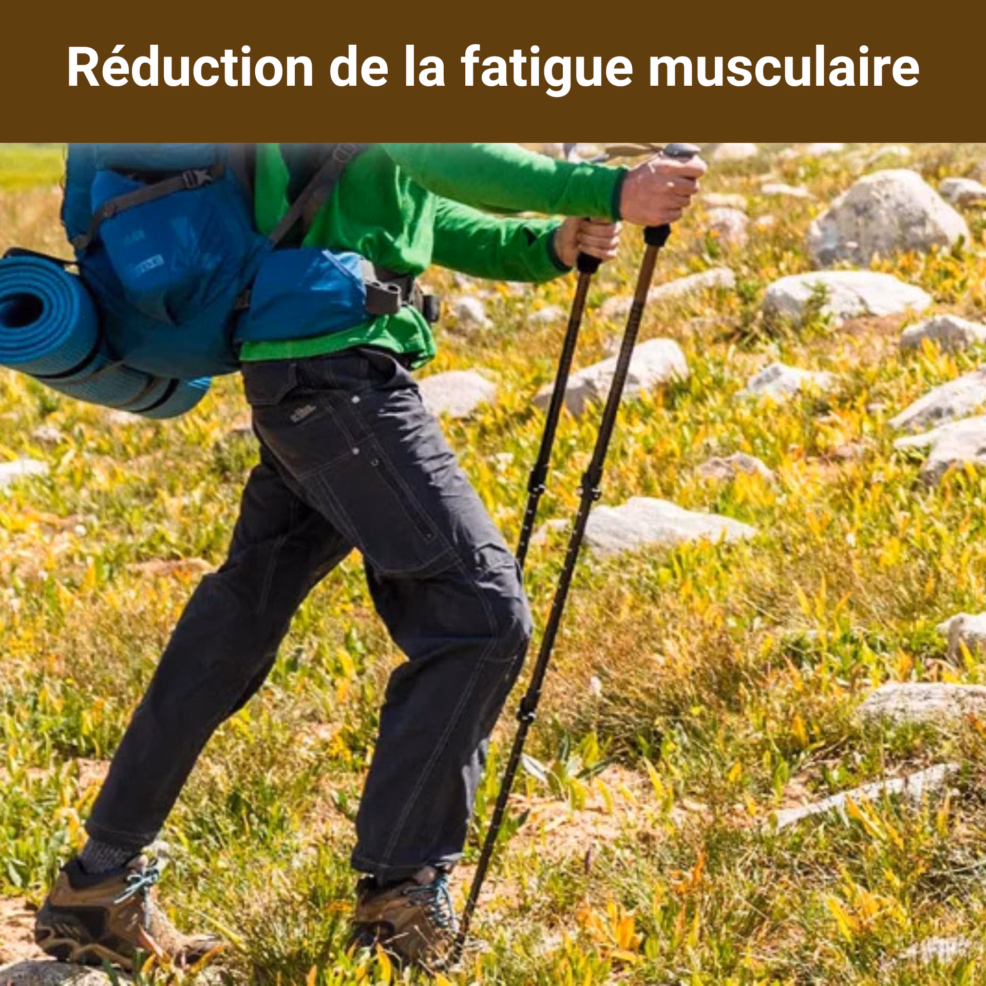 bâton de marche télescopique carbone