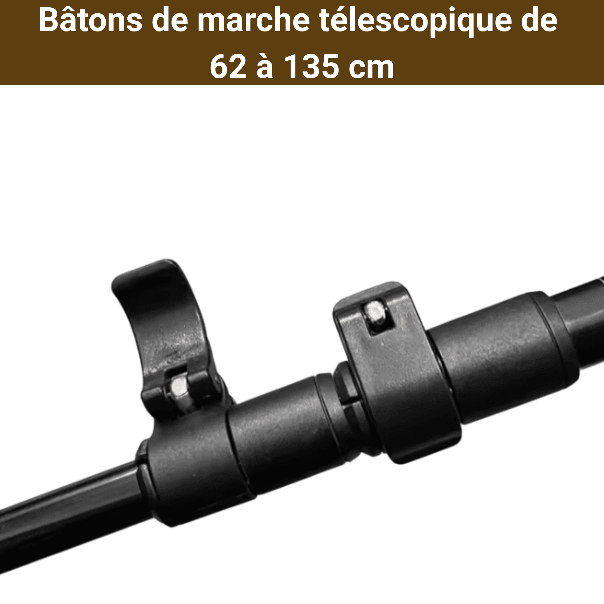 bâton de marche télescopique