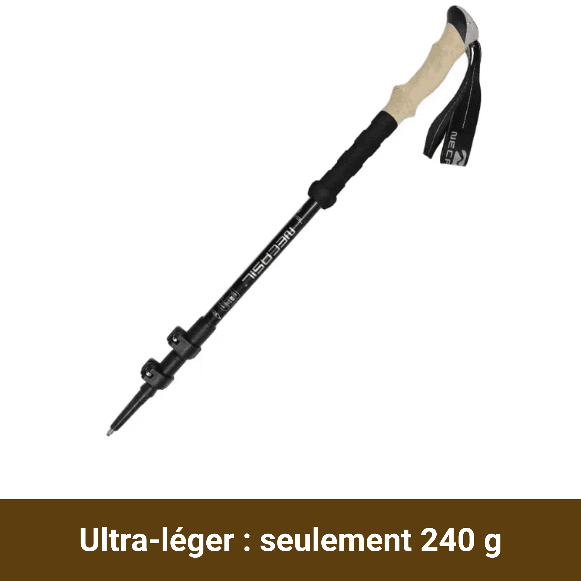 batons de marche telescopiques