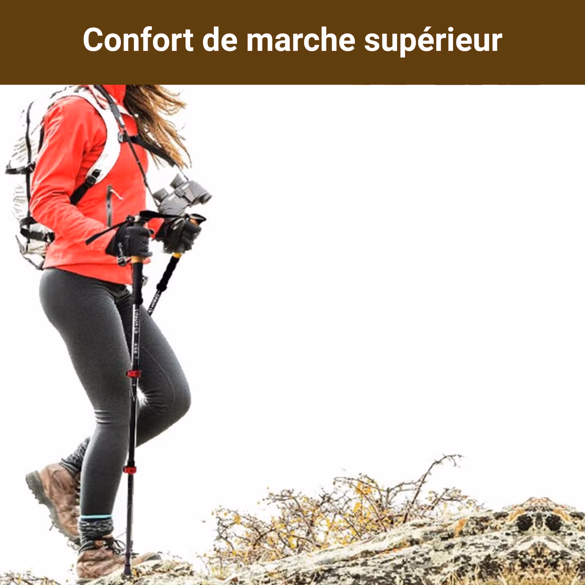bâton de marche rétractable