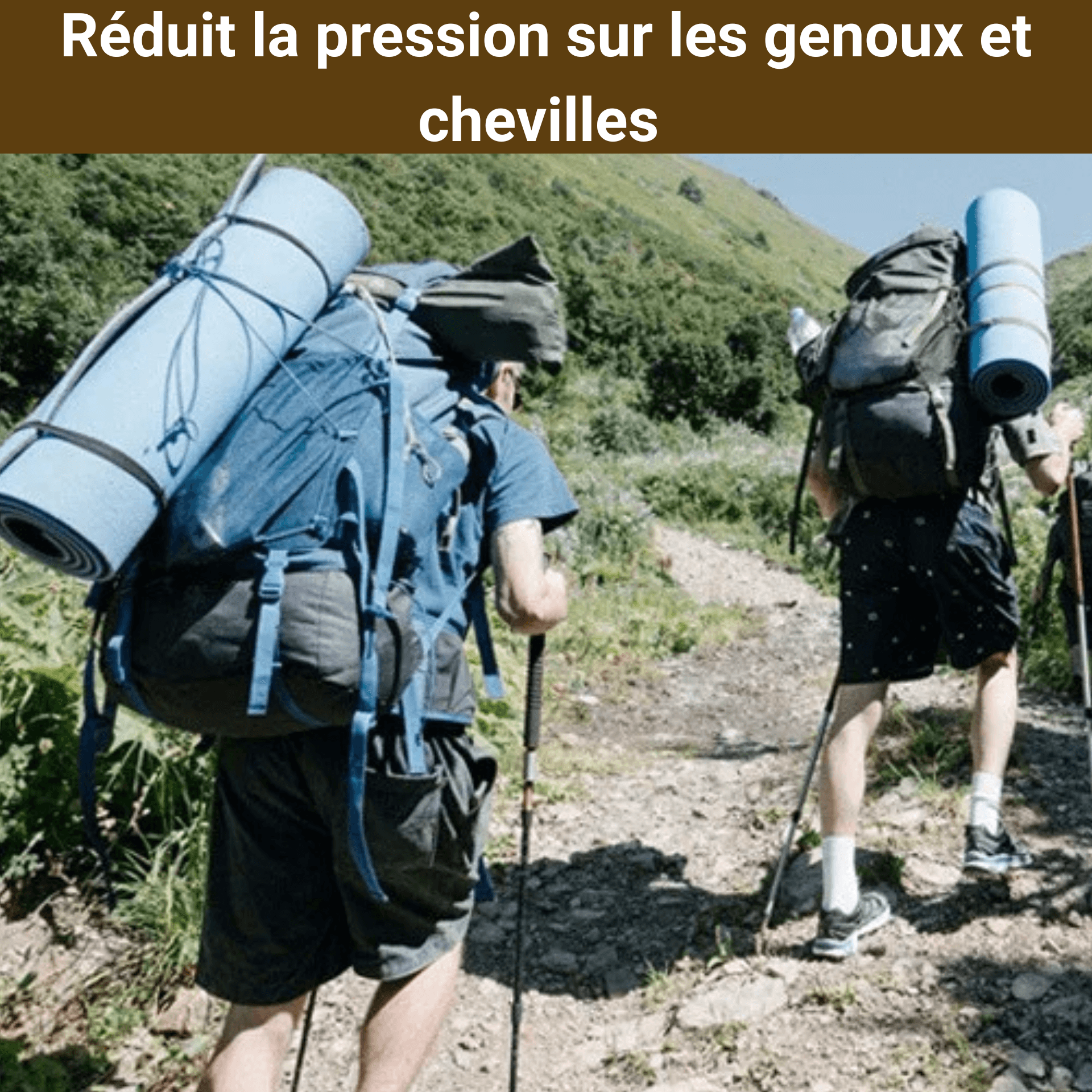 baton marche telescopique