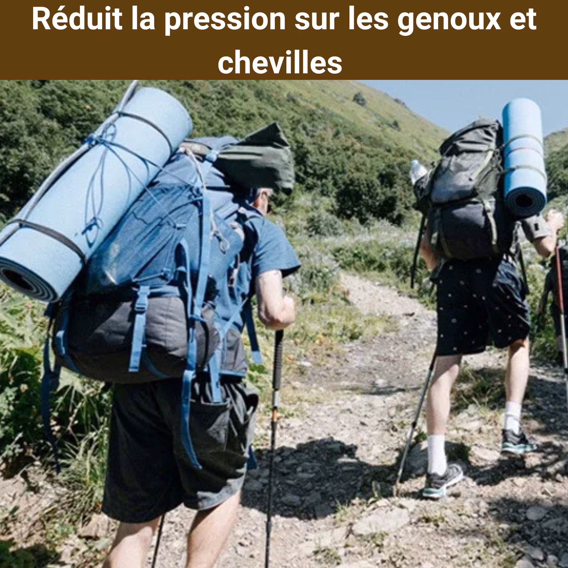 baton marche telescopique